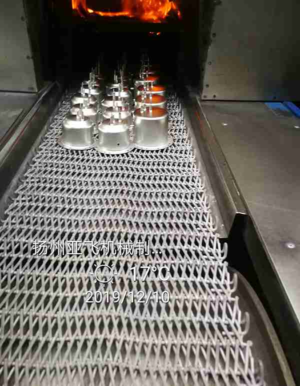 Mesh belts for  Stoving