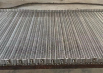 Mesh belt with baffle at the edge
